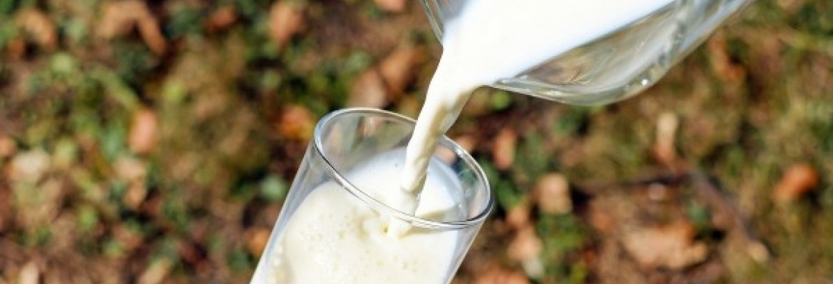 Prognozuojamos mažesnės pieno supirkimo kainos