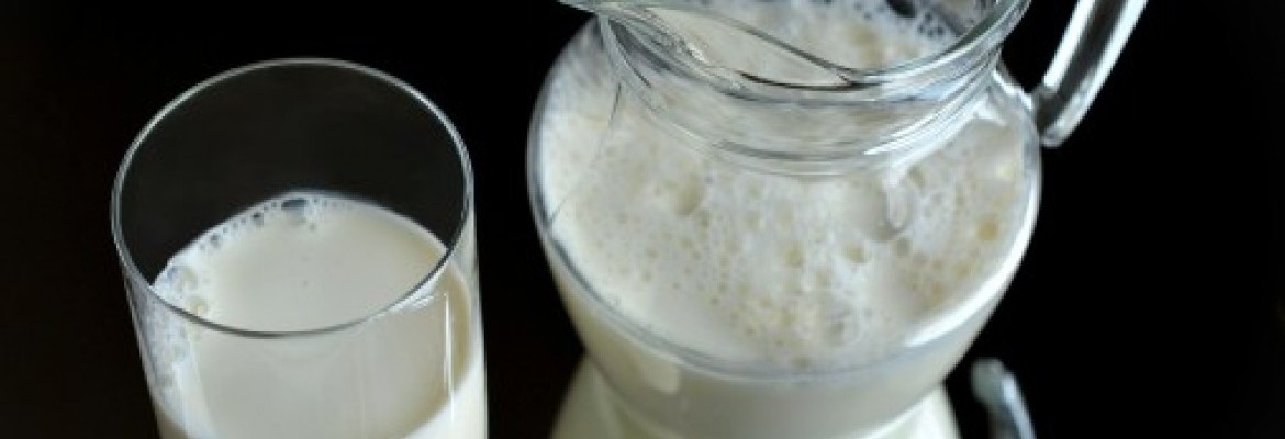 Gruodį pieno supirkimo kainos sumažėjo